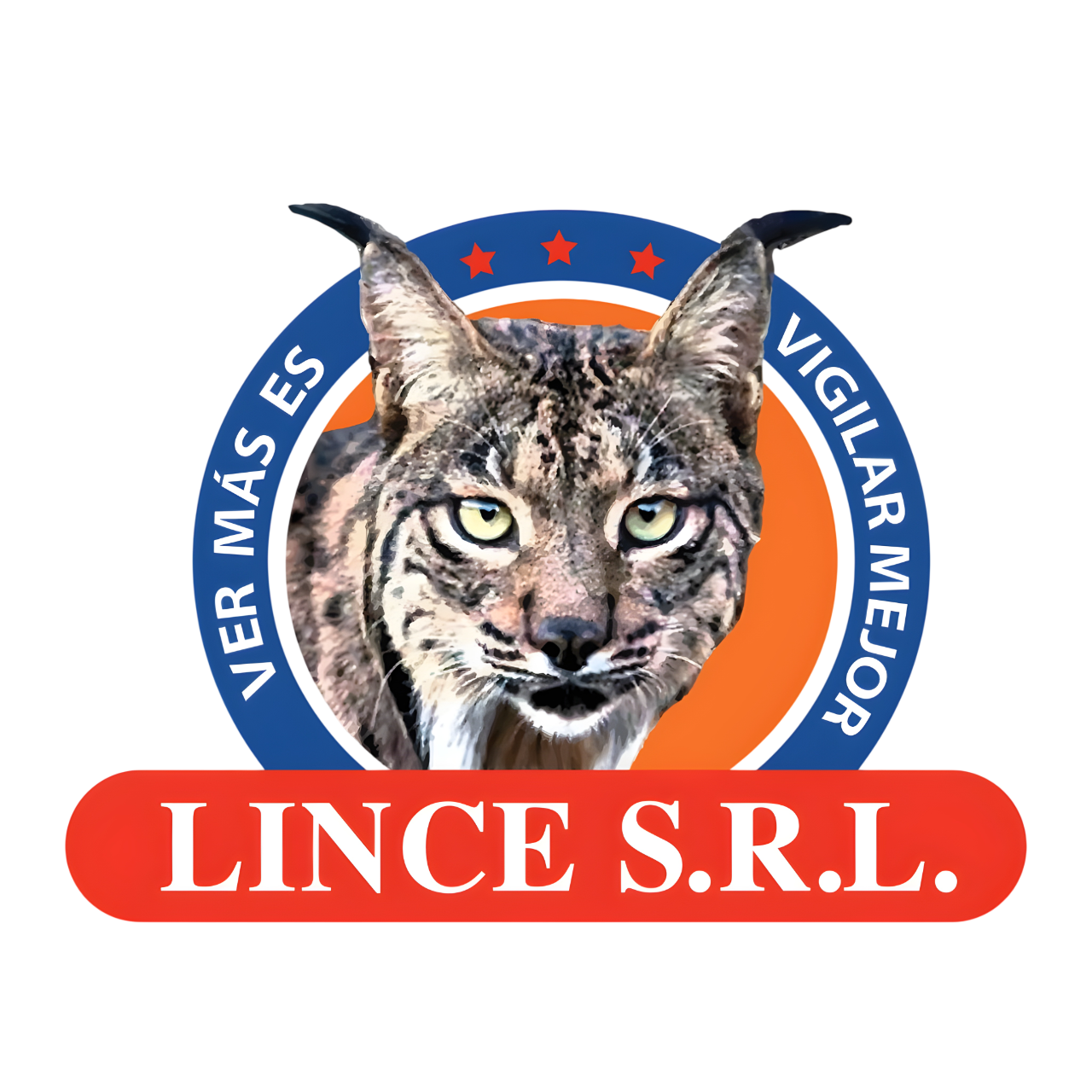 Capacitaciones Lincesrl